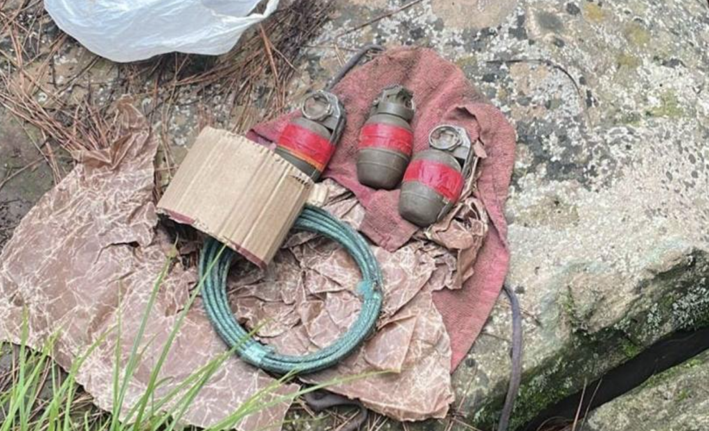 Security forces bust terrorist hideout in Poonch, 1 detained