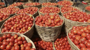 Tamil Nadu couple held for hijacking lorry with 2.5 tonnes of tomato in karnataka