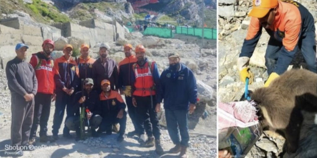 Bear cub’s head trapped inside box near Amarnath cave ; rescued