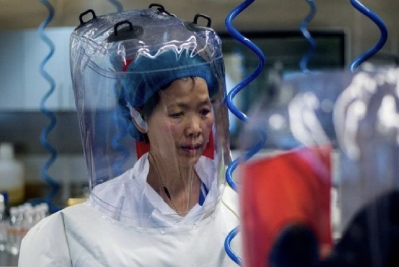 China’s ‘Batwoman’ warns that there could be more Covid-like ‘outbreaks’ in the future