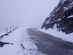 Fresh snowfall stopped  traffic on Sonamarg-Zojila highway for some time