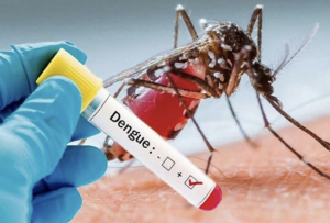 145 more test +ve for dengue