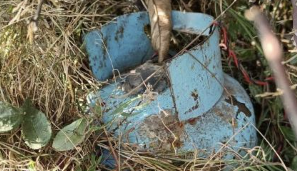 Security forces find 3 cylinder IED planted near Handwara