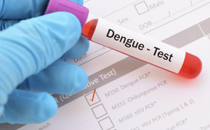 111 fresh dengue cases reported in Jammu 