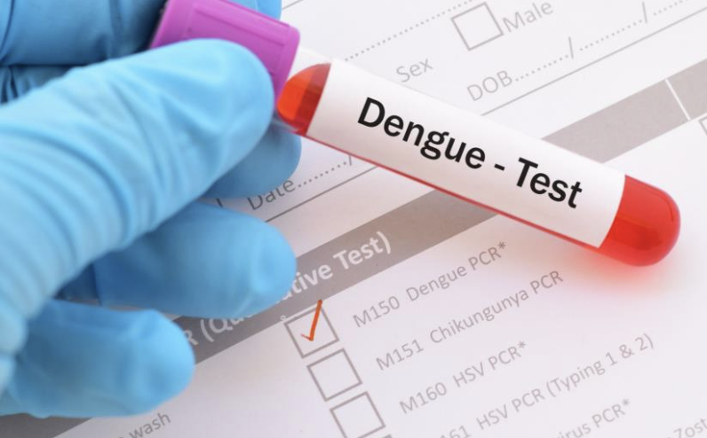 111 fresh dengue cases reported in Jammu