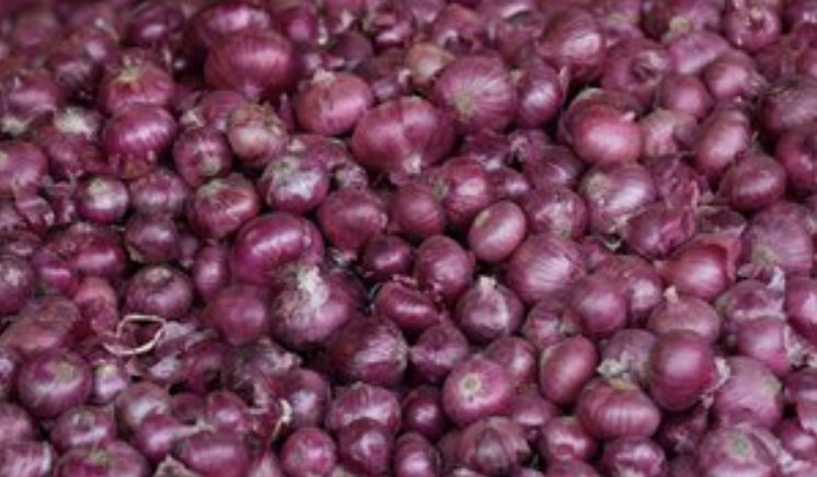 Govt imposes USD 800/tonne minimum export price on onion; to buy additional 2 lac tonnes for buffer