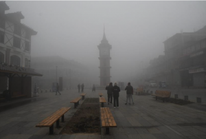  Thick fog blankets Kashmir amid severe cold