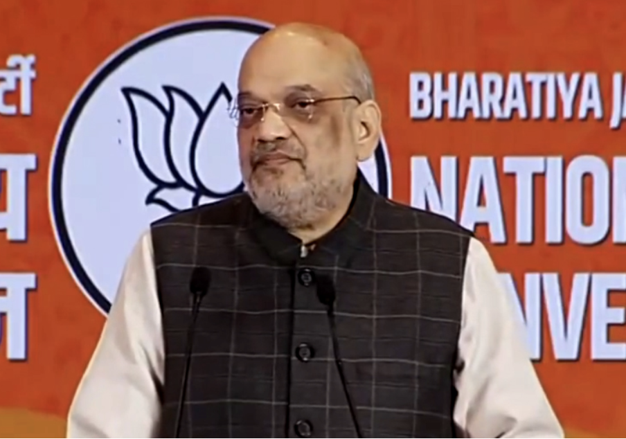 Country Has Made Up Its Mind That PM Modi Will Be At Helm For 3rd Term: Shah At BJP Meet