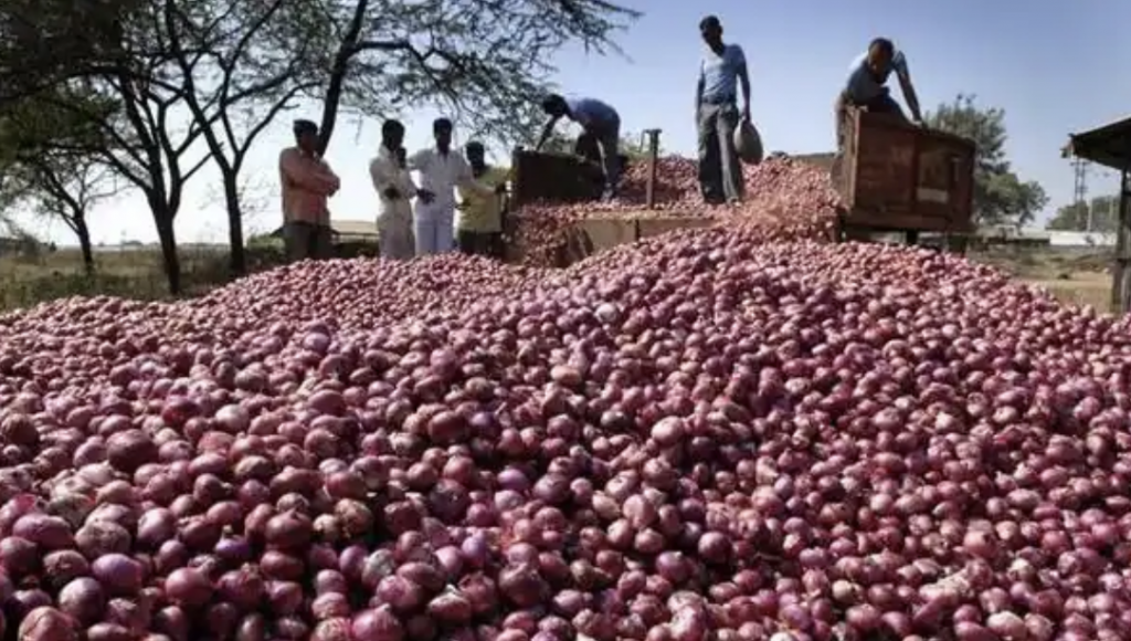 Centre Allows 99.5k Tons Of Onion Exports To 6 Neighbouring Nations