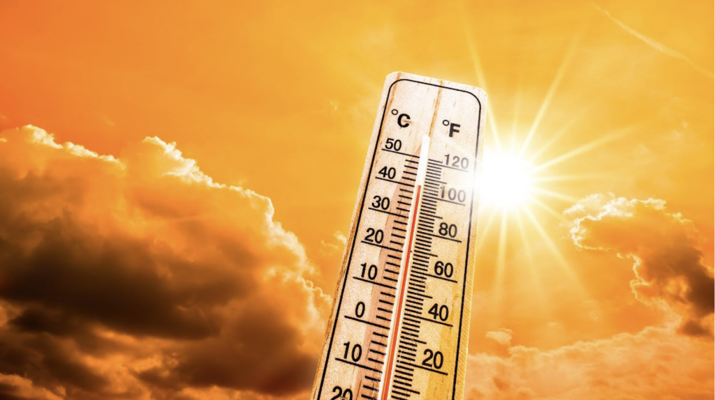 Max May Cross 44 Deg C By May End In Jammu: Official