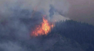 Fire Engulfs Forest Areas Of Kathua, Rajouri