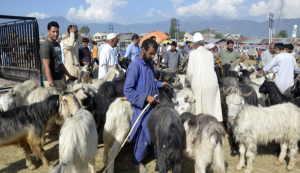 Kashmir consumes mutton worth Rs 72 crore on this Eid-ul-Adha