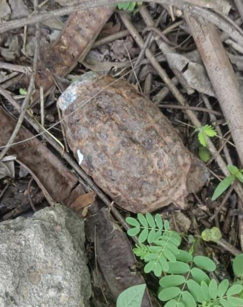 Rusted Old Grenade Found In Janipur Jammu