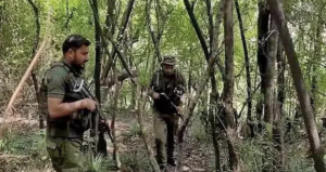 Search Operation Launched After Suspicious Movement In Poonch