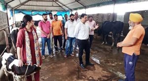 JMC organises awareness programme on Environmental Management of Dairies, Gaushalas; Adoption of scientific dung disposal mechanisms