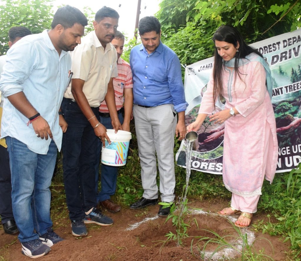 RDD conducts plantation drive under MGNREGA