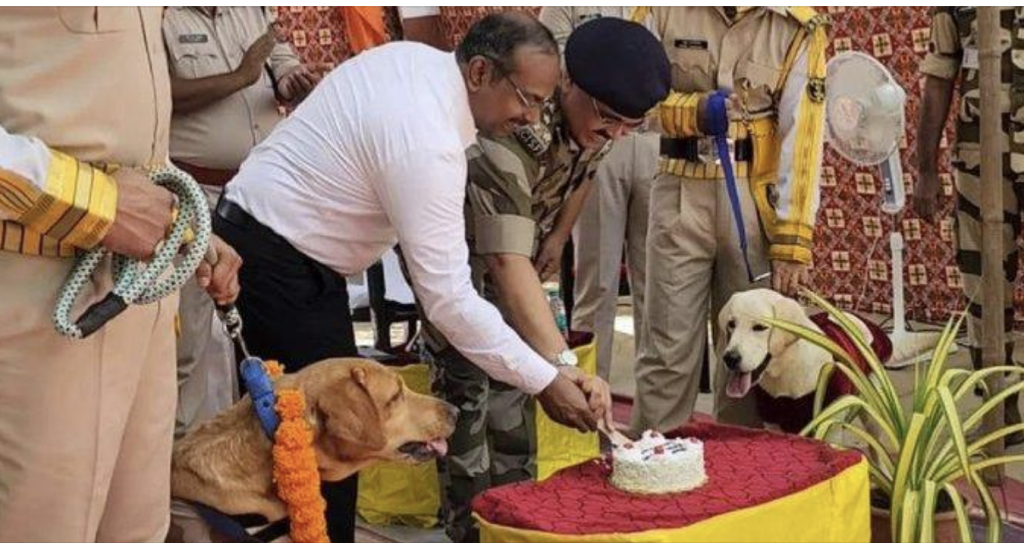 ‘Goodbye Ceasar’: CISF dog squad canine retires after 8 years of service, given warm send-off