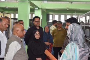 Pr Secy Culture reviews progress of heritage restoration in Anantnag