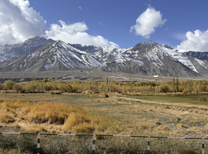 Ladakh Receives Season’s First Snowfall