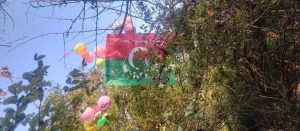 Flags of Pakistan Tehreek-e-Insaf tied to balloons found in Udhampur