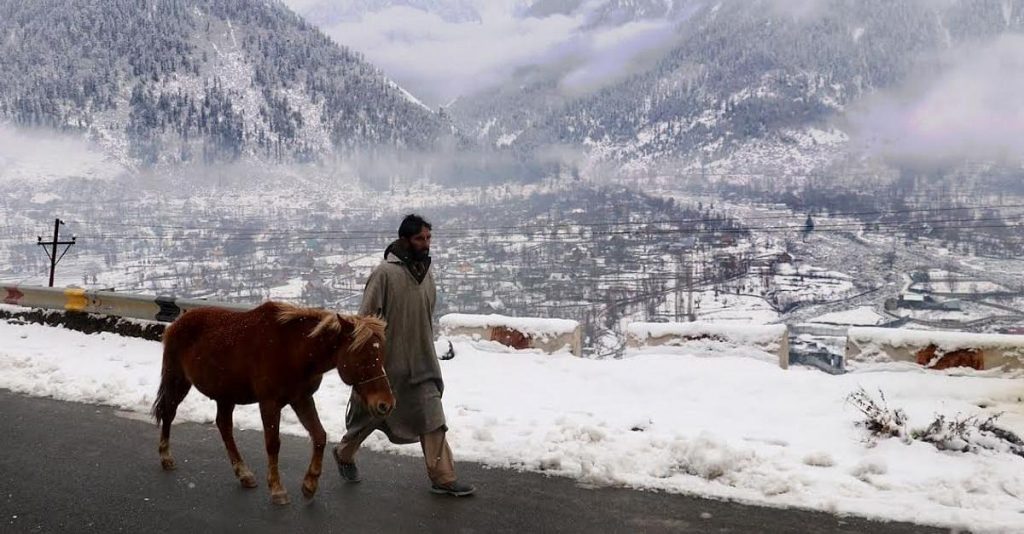 Fresh Snowfall In Higher Reaches Of Kashmir, Rain Lashes Plains