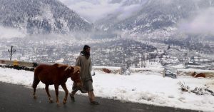 Fresh Snowfall In Higher Reaches Of Kashmir, Rain Lashes Plains