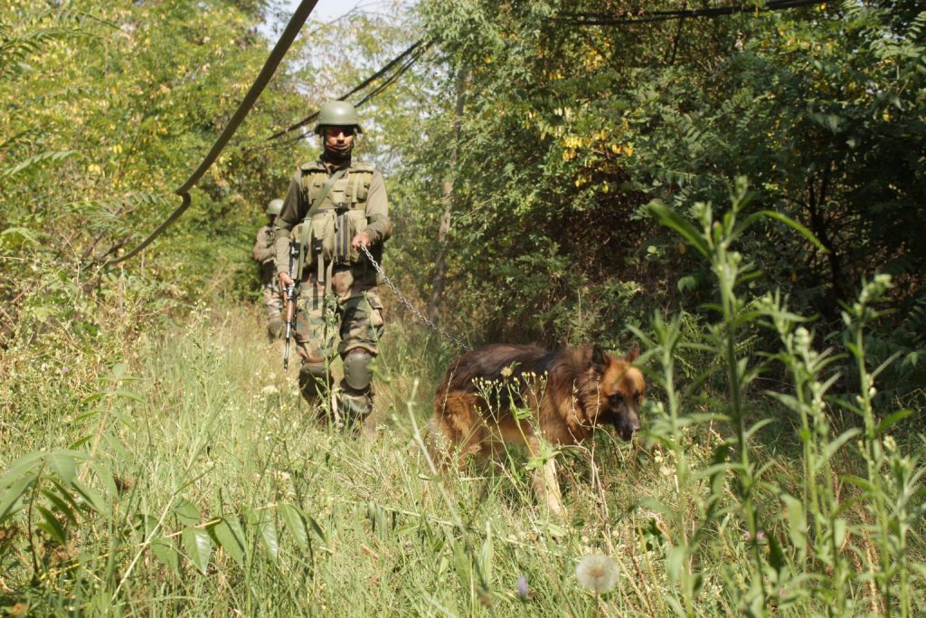 Search Operation Launched In Samba