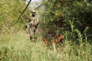 Search Operation Launched In Samba