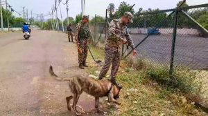 CRPF Conducts Sanitisation Operation Around Jammu Base Camp Of Amarnath Yatra