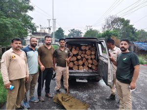Vehicle Carrying Illegal Khair Wood Seized In Jammu’s Gharota