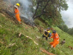 Helicopter Crashes Near Kedarnath Shrine, All Seven On Board Killed