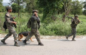 Operation continues on third day in Kulgam, one terrorist neutralised