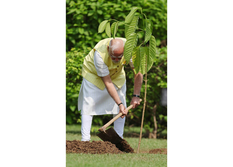 PM Modi plants sapling gifted by British King on his 75th birthday