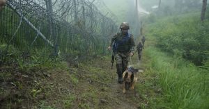 Infiltration Bid By Terrorists Foiled Along LoC In Poonch