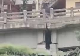 Cracks develop in Ramban flyover amid heavy rains in Jammu region