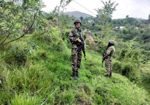 Search Operation Underway In Jammu And Kashmir’s Udhampur