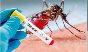 Dengue cases rise in Kathua, Udhampur even as Jammu records overall decline