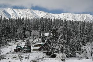 Sub-Zero Chill Grips Kashmir, Ladakh; Gulmarg Coldest at Minus 6.5°C