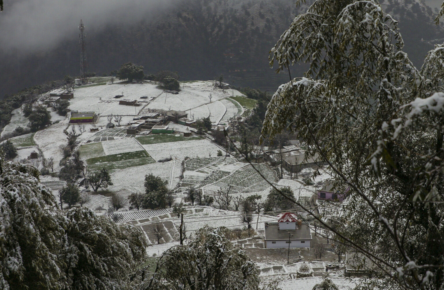 Fresh Snowfall In Parts Of J&K; Weather To Remain Dry For Next 48 Hours