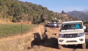 Security Forces Planning Final Assault On Two Holed-Up Terrorists In Udhampur