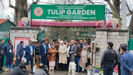 Asia’s Largest Tulip Garden In Srinagar Opens For Public