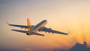 Middle East Conflict: 80 International Flights Cancelled At Delhi Airport On Tuesday