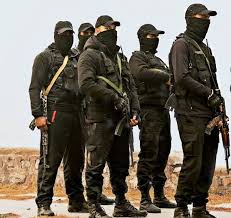350 SOG personnel to take on terrorists in mountains, dense forests of J&K