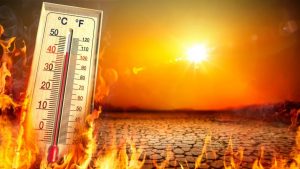 Akola Hottest In India At 46.9 Deg C; Vidarbha Under Grip Of Heat Wave