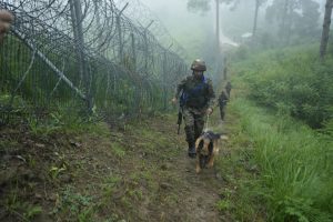 Security Forces Launch Multi-Area Search Operation in Poonch After Infiltration Bid Foiled