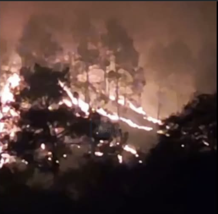 Massive Forest Fire In Poonch; Locals Help Bring Flames Under Control