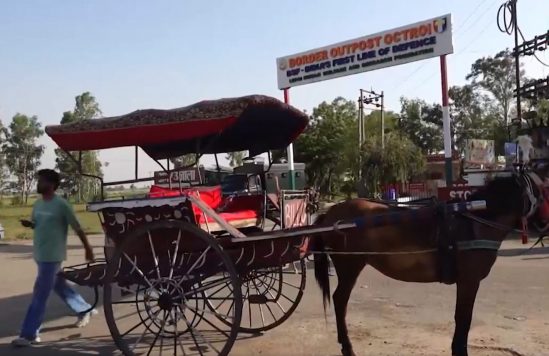 Traditional ‘Tongas’ Gather Popularity In Jammu Border Belt Amid PM Appeal To Save Fuel