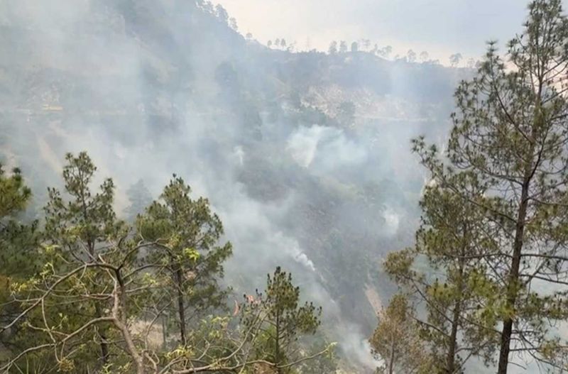 Reasi | Major Forest Fire Breaks Out In Salal Forest Area, Firefighting Underway