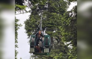 5-Member Panel To Probe Reasons Behind Gulmarg Cable Car Malfunction
