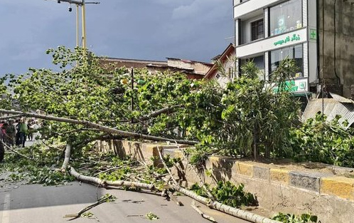 Man Killed, Wife Injured As Tree Falls On Them Amid Strong Winds In Anantnag